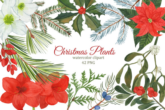 Christmas Plants Watercolor Clipart for Creative Projects